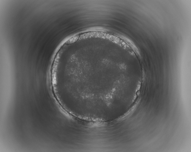 X0000111020808200907310930