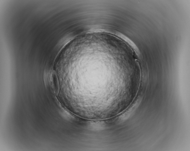 X0000111020809200907310930