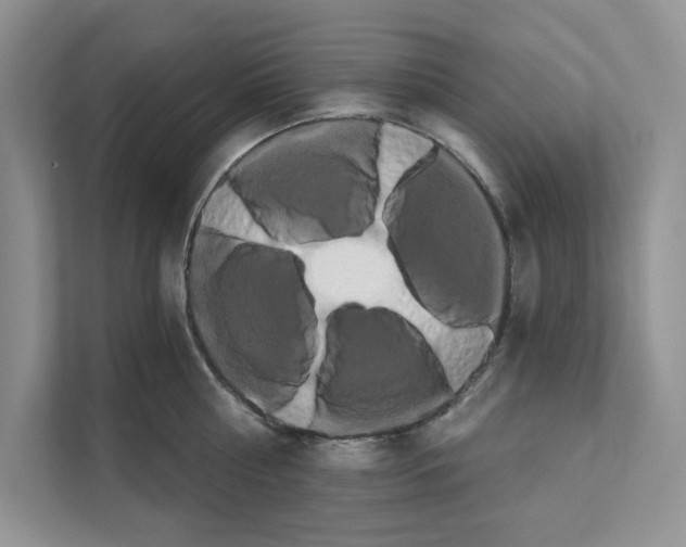 X0000111020810200907310930