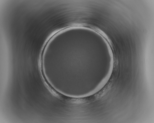 X0000111020811200907310930