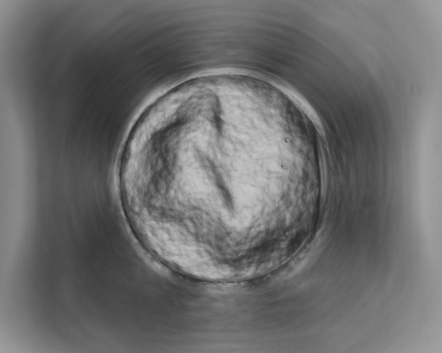 X0000111020813200907310930