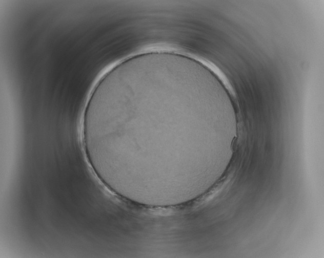 X0000111020815200907310930