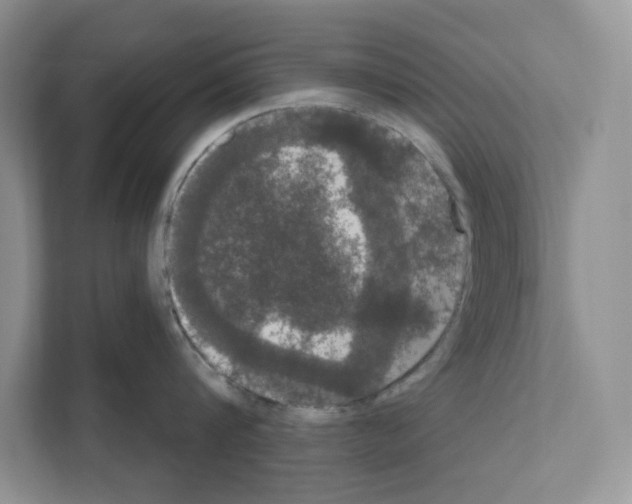 X0000111020816200907310930
