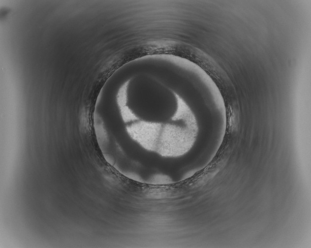 X0000111020819200907310930