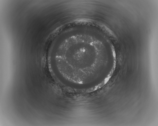 X0000111020821200907310930