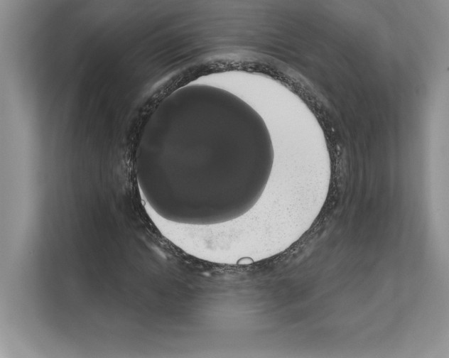 X0000111020822200907310930