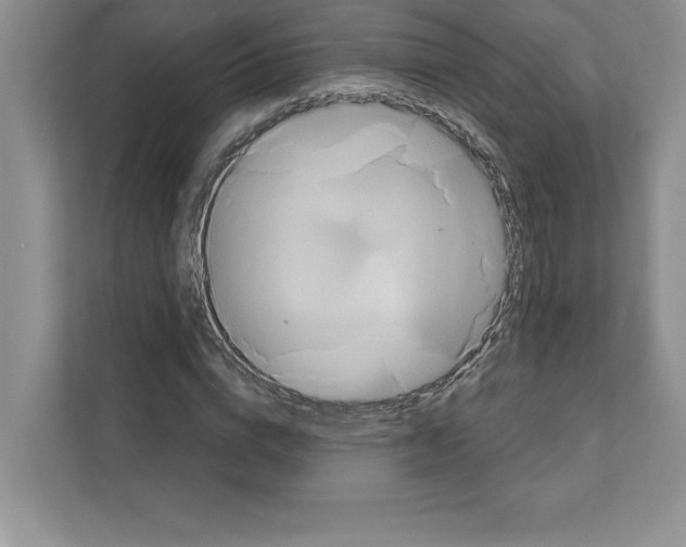 X0000111020824200907310930