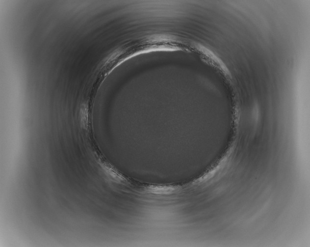 X0000111020825200907310930