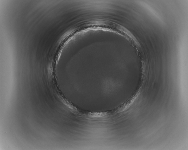 X0000111020826200907310930