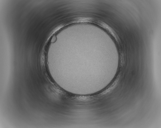 X0000111020827200907310930
