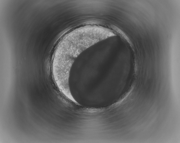 X0000111020829200907310930