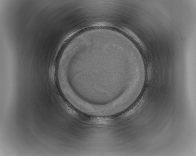 X0000111020831200907310930