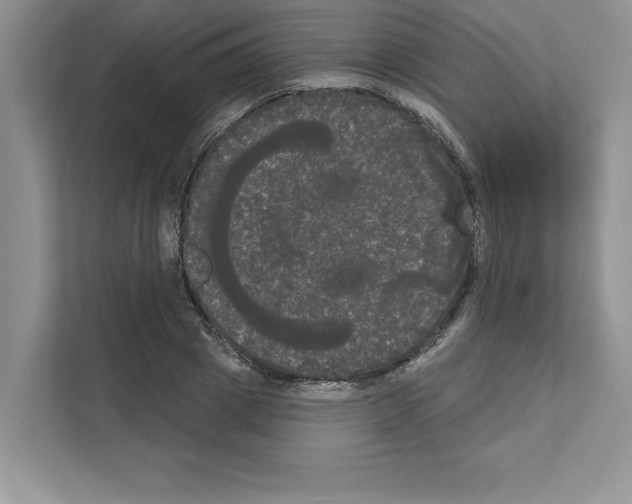 X0000111020833200907310930