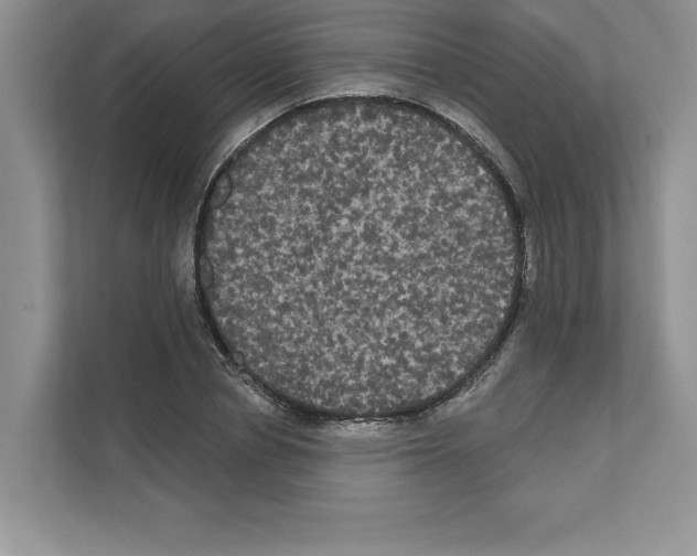 X0000111020834200907310930