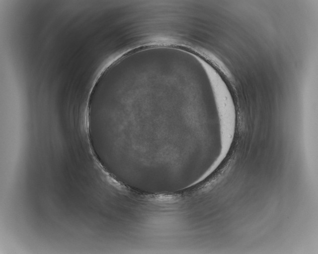 X0000111020839200907310930