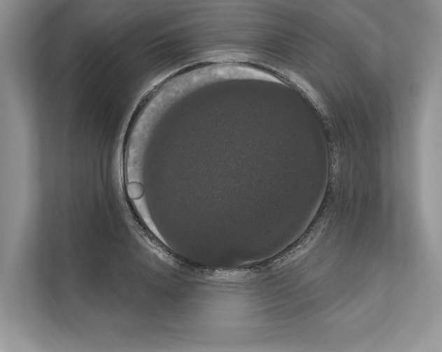 X0000111020840200907310930
