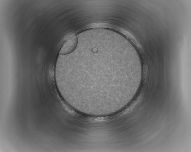 X0000111020841200907310930