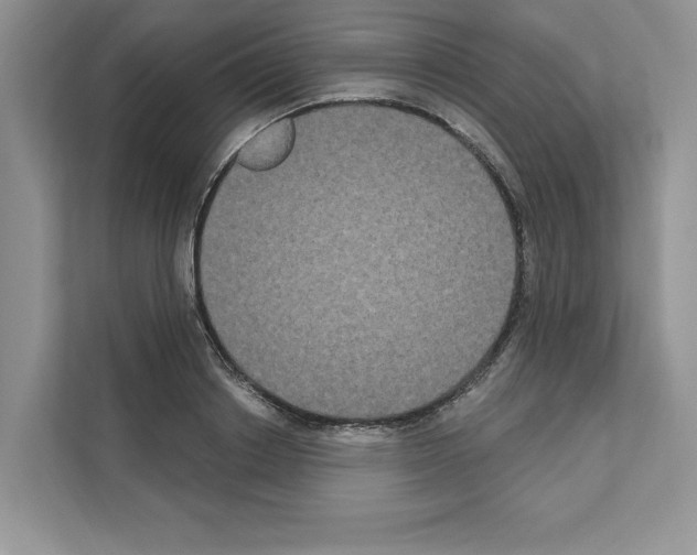 X0000111020842200907310930