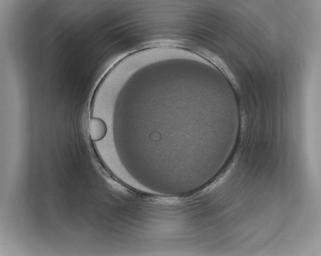 X0000111020844200907310930