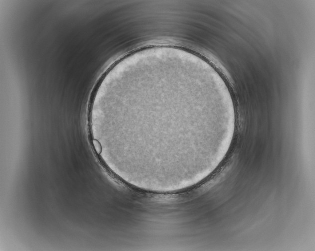 X0000111020845200907310930