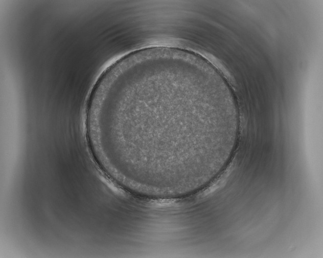 X0000111020846200907310930