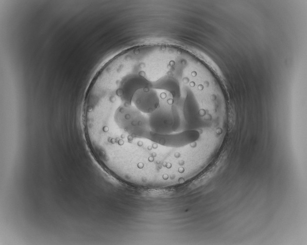 X0000111020847200907310930