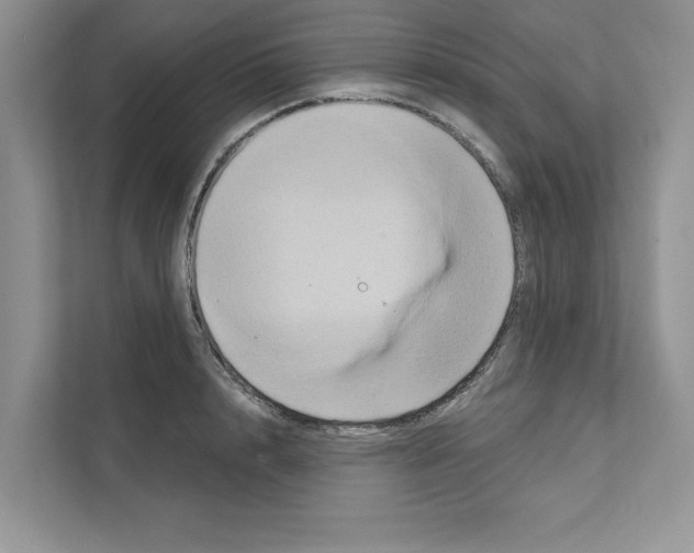 X0000111020848200907310930