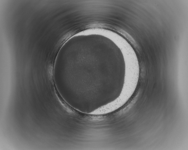 X0000111020849200907310930