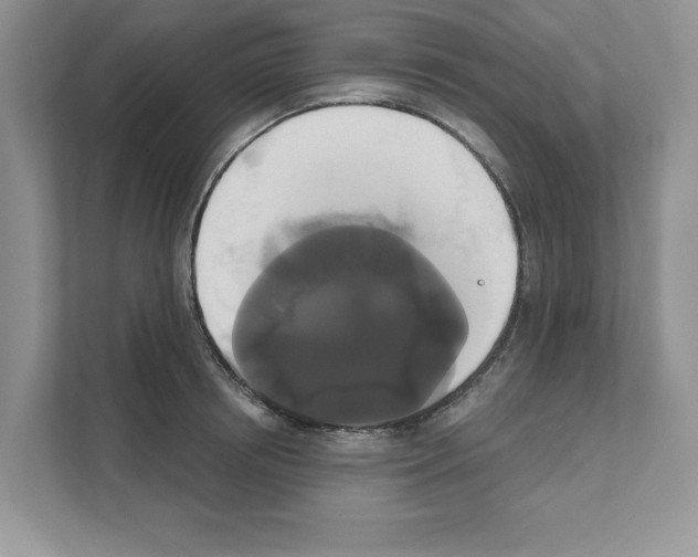 X0000111020850200907310930