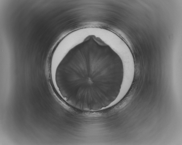 X0000111020851200907310930