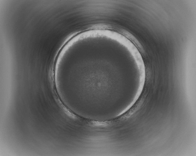X0000111020852200907310930