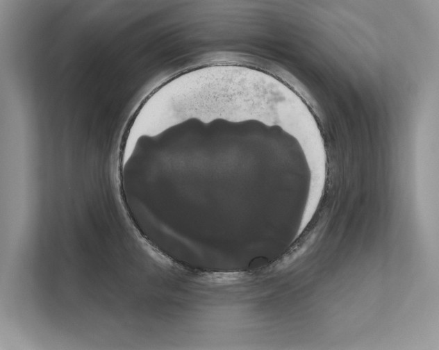 X0000111020853200907310930