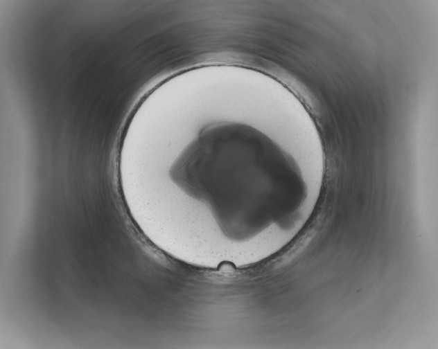 X0000111020854200907310930