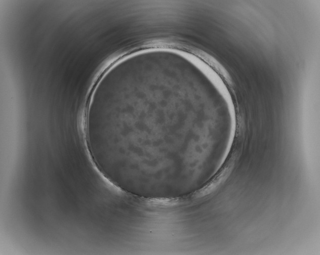 X0000111020855200907310930