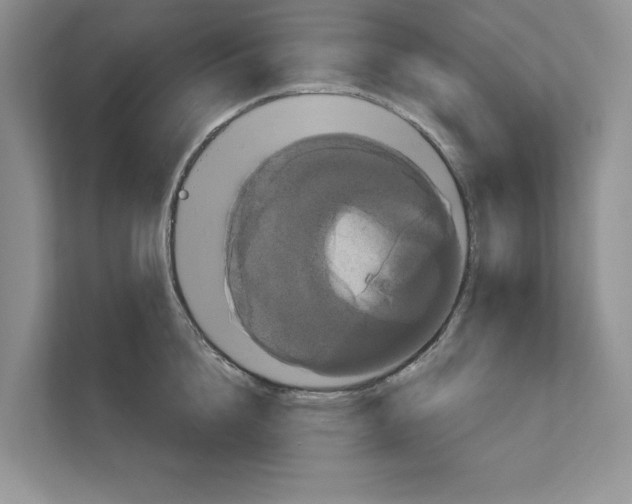 X0000111020856200907310930