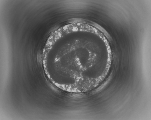 X0000111020857200907310930