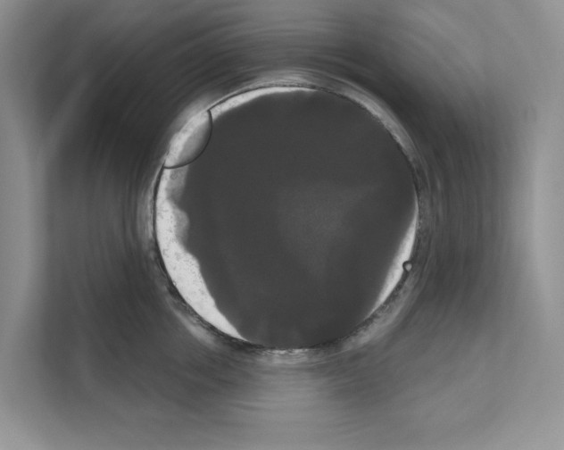 X0000111020858200907310930