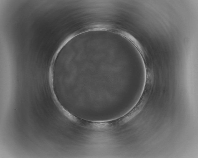 X0000111020859200907310930