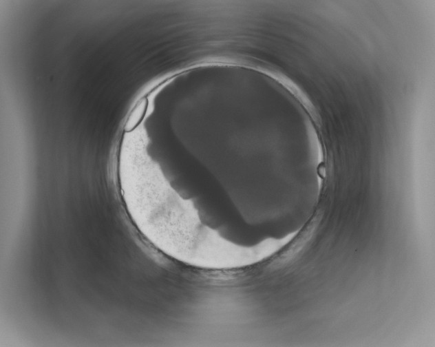 X0000111020862200907310930