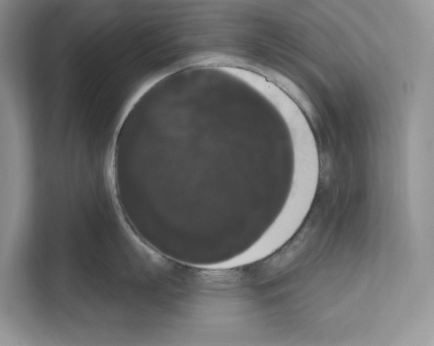 X0000111020863200907310930