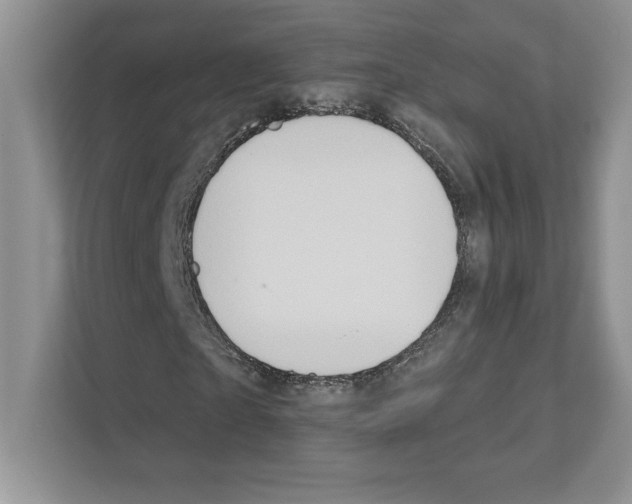 X0000111020865200907310930
