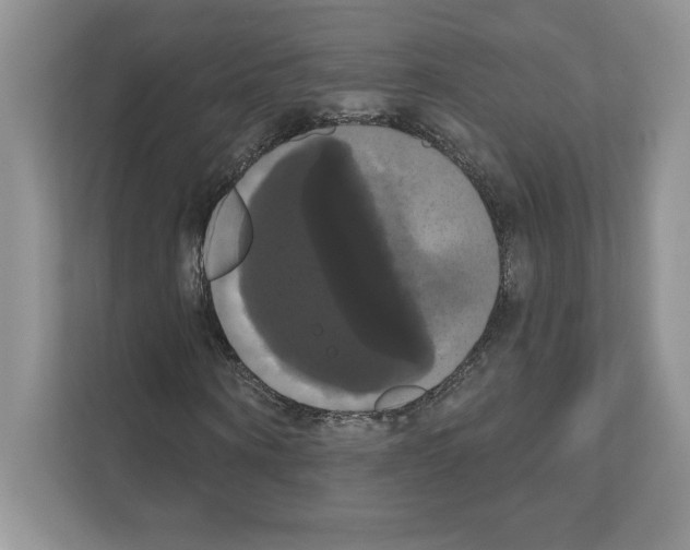 X0000111020866200907310930