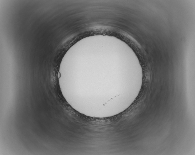 X0000111020869200907310930
