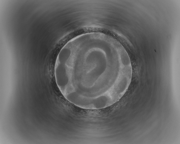 X0000111020870200907310930