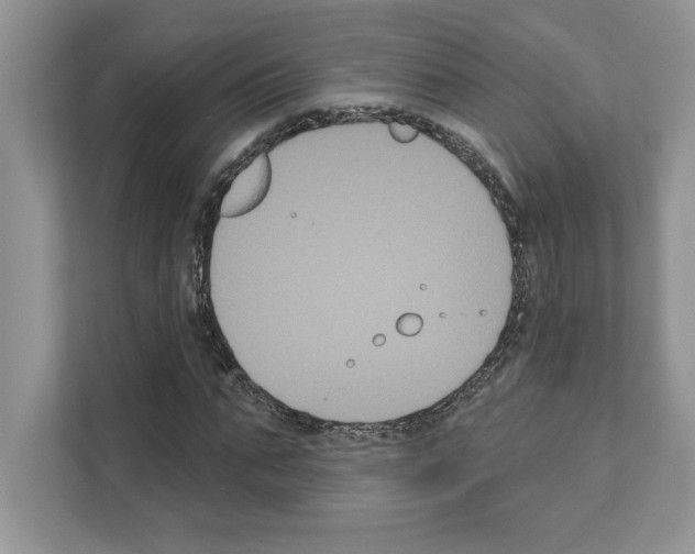 X0000111020871200907310930