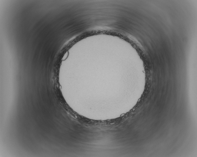 X0000111020872200907310930