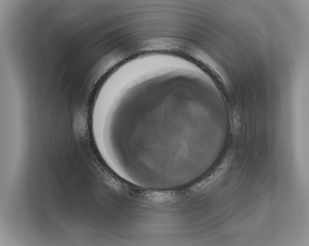 X0000111020874200907310930