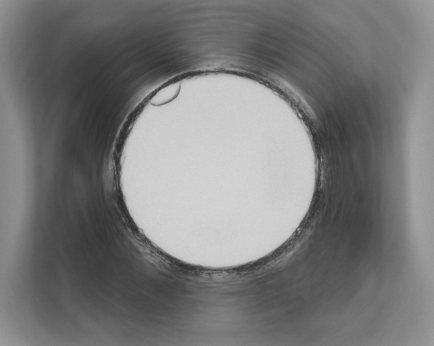 X0000111020876200907310930