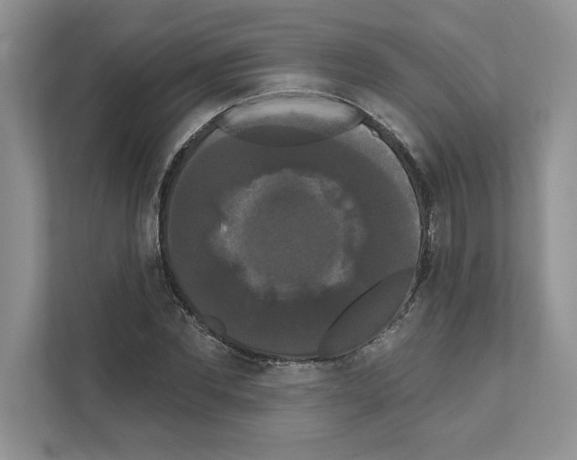 X0000111020877200907310930