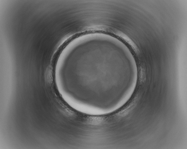 X0000111020878200907310930
